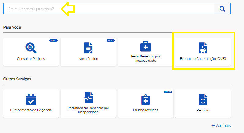 Como obter o CNIS no site do Meu INSS? 1 FAQ 01928347408734593